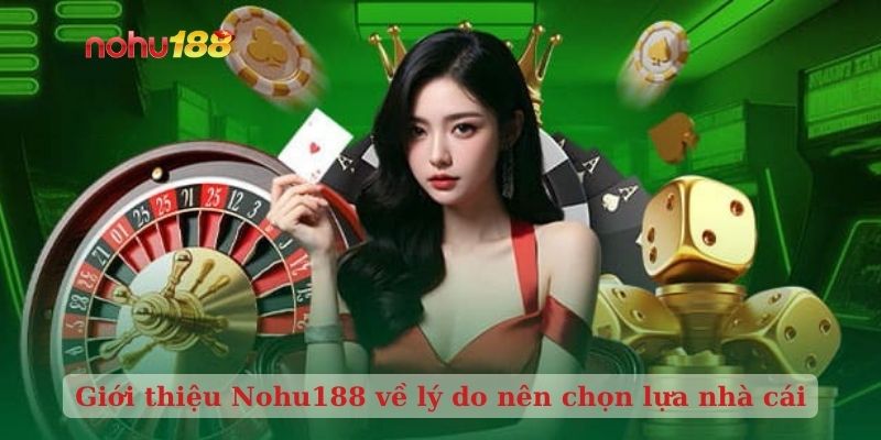 Giới thiệu Nohu188 về lý do nên chọn lựa nhà cái