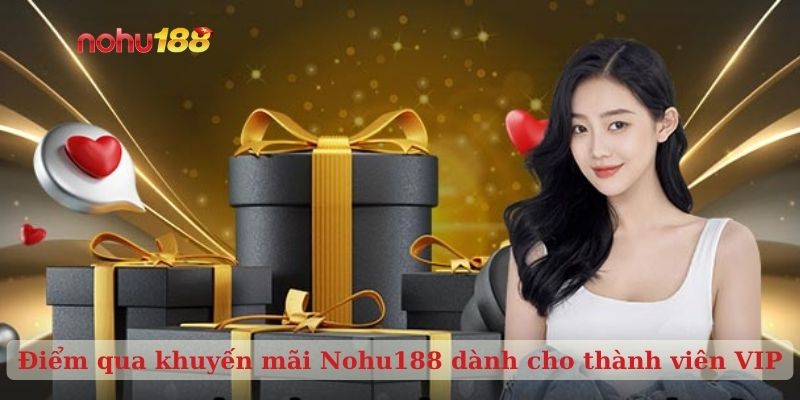 Điểm qua khuyến mãi Nohu188 dành cho thành viên VIP